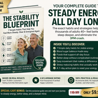 STABILITY BLUEPRINT