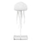 JellyGlow™ Lamp 2.0 Ambient Mood Lighting