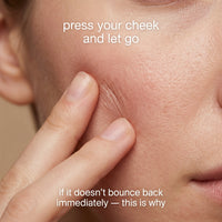 Wild Ginseng Bounce Recovery Essence