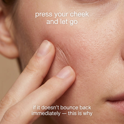 Wild Ginseng Bounce Recovery Essence